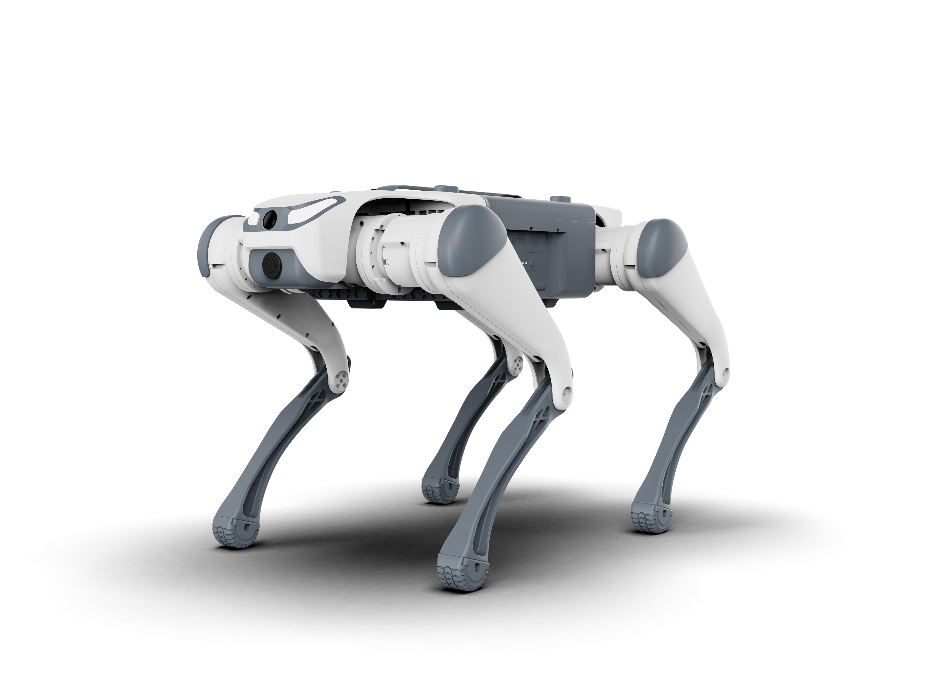 Basic Elite Quadruped Robot 