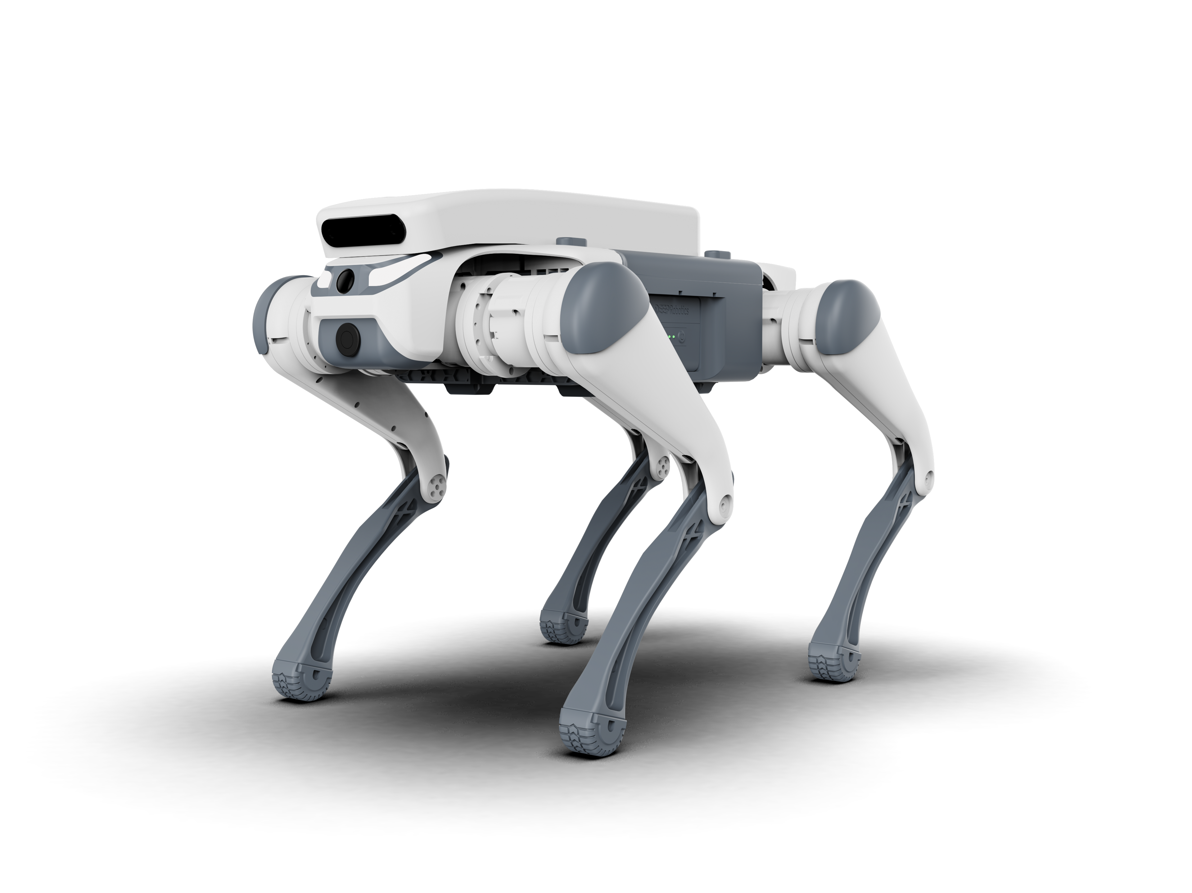 Pro-Elite Quadruped Robot 